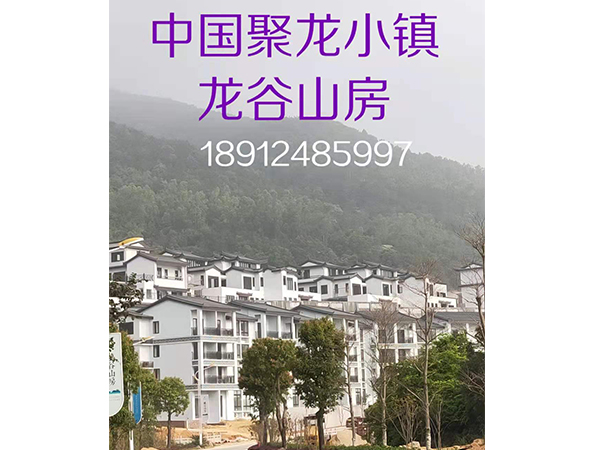 中國聚龍小鎮龍谷山房